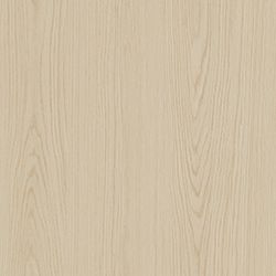 Amper Oak